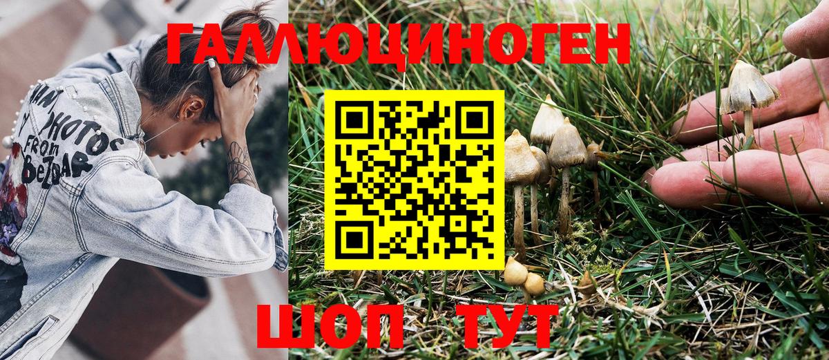 Галлюциногенные грибы Cubensis Киселёвск