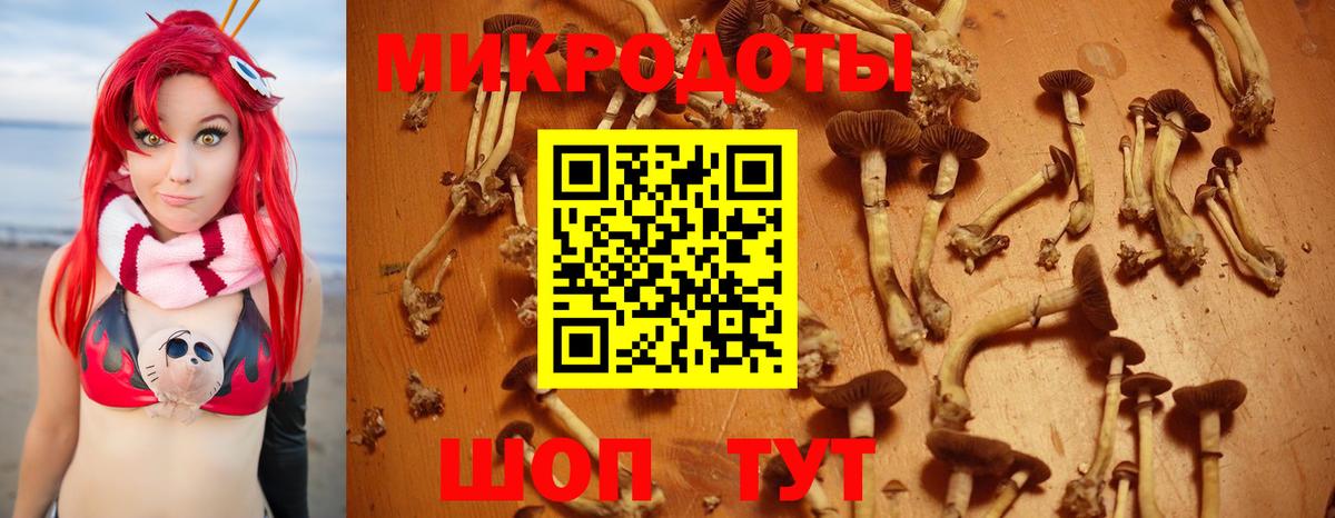 Киселёвск  Псилоцибиновые грибы ЛСД  Вход с VPN 