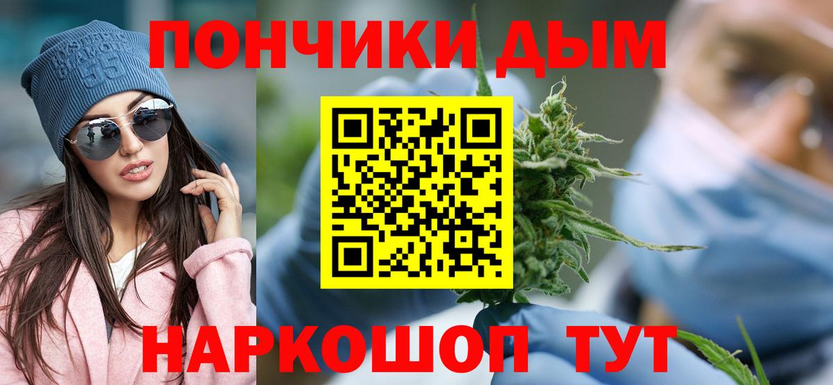 Шишки марихуана планчик Киселёвск